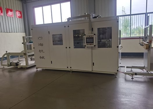 Bopp Pet Blister Forming Machine for Tray Container Food Packaging